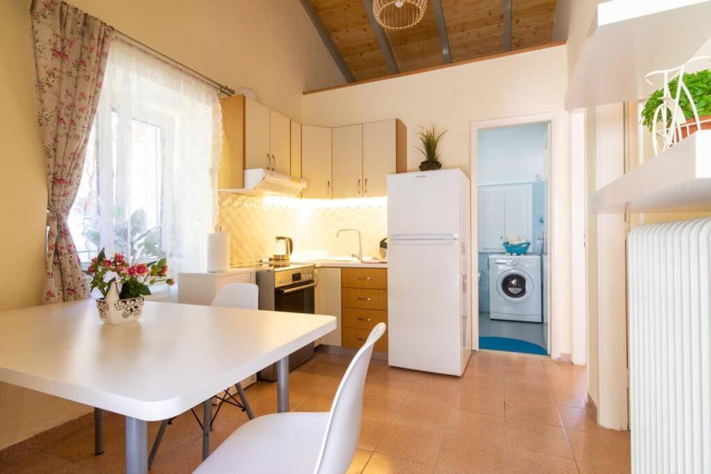 Thanos Cottage Vlachopoulátika Eksteriør bilde